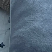 Bleu poudre coloris